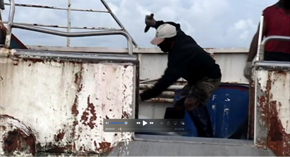 Screen grab from 'The End of the Line'